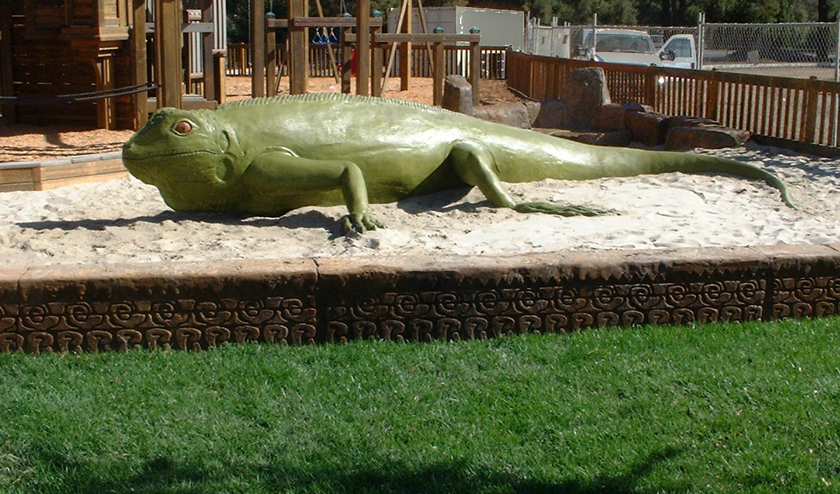 iguana with relief
